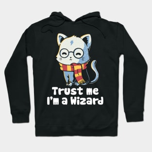 Trust me I'm a wizard Hoodie